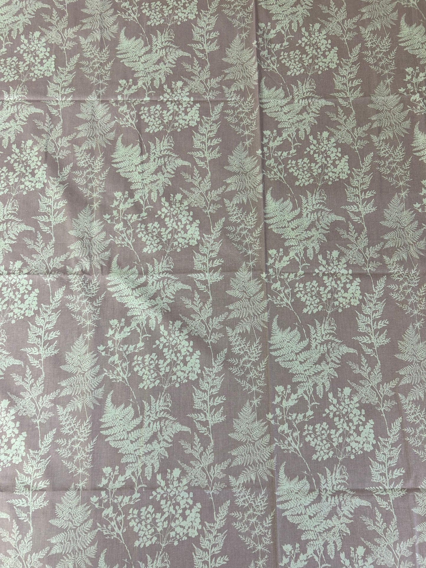Whispering Fern | 100% Cotton | Queen Size Bedsheet