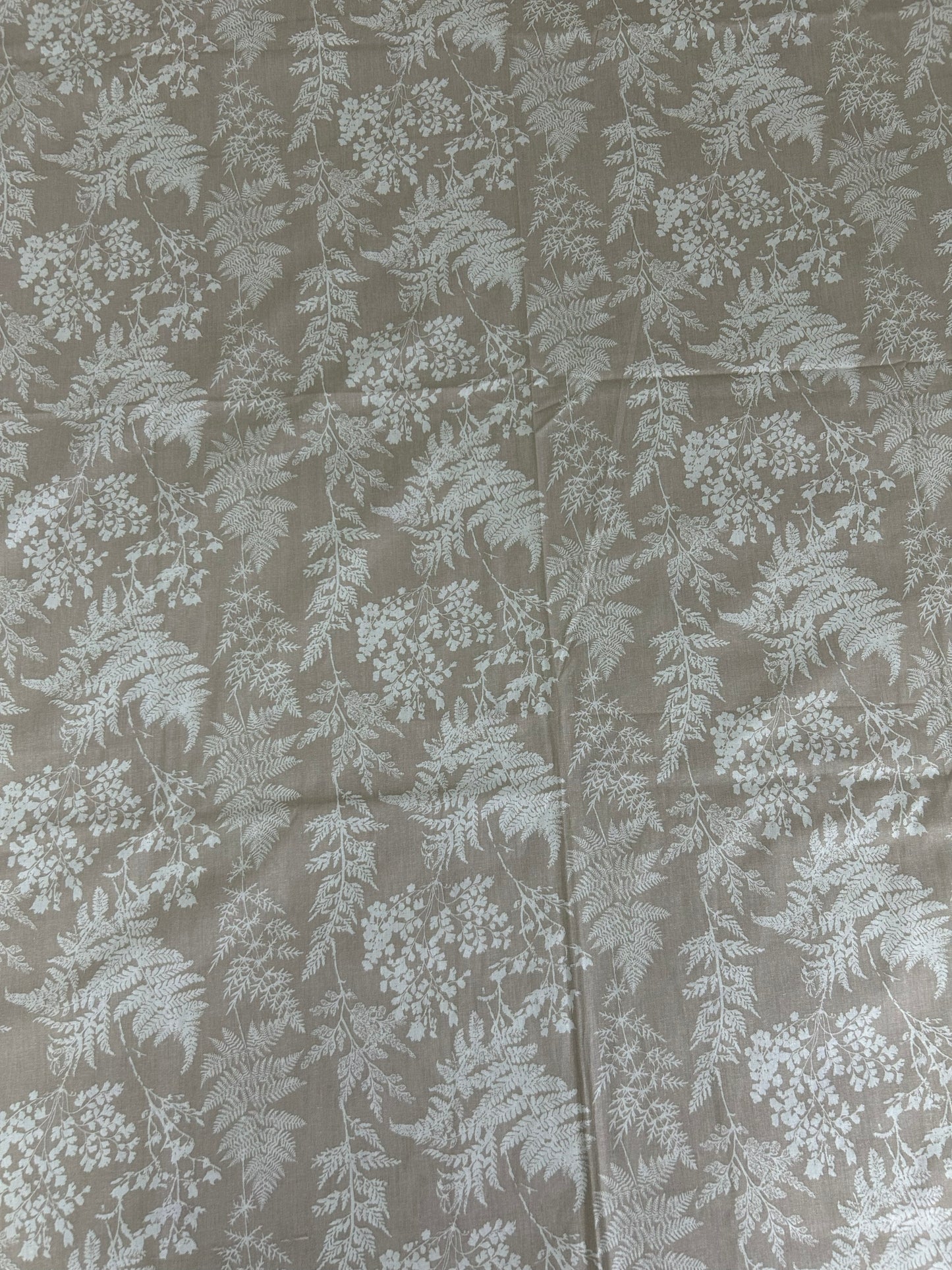 Whispering Fern | 100% Cotton | Queen Size Bedsheet